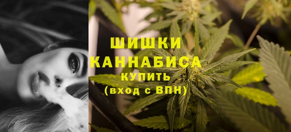 гидра Ладушкин