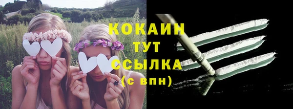 винт Магас