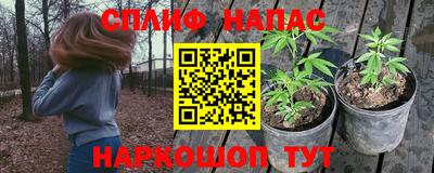 спиды Донской