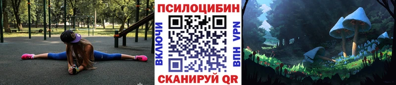 Псилоцибиновые грибы Psilocybine cubensis  Новоалександровск 