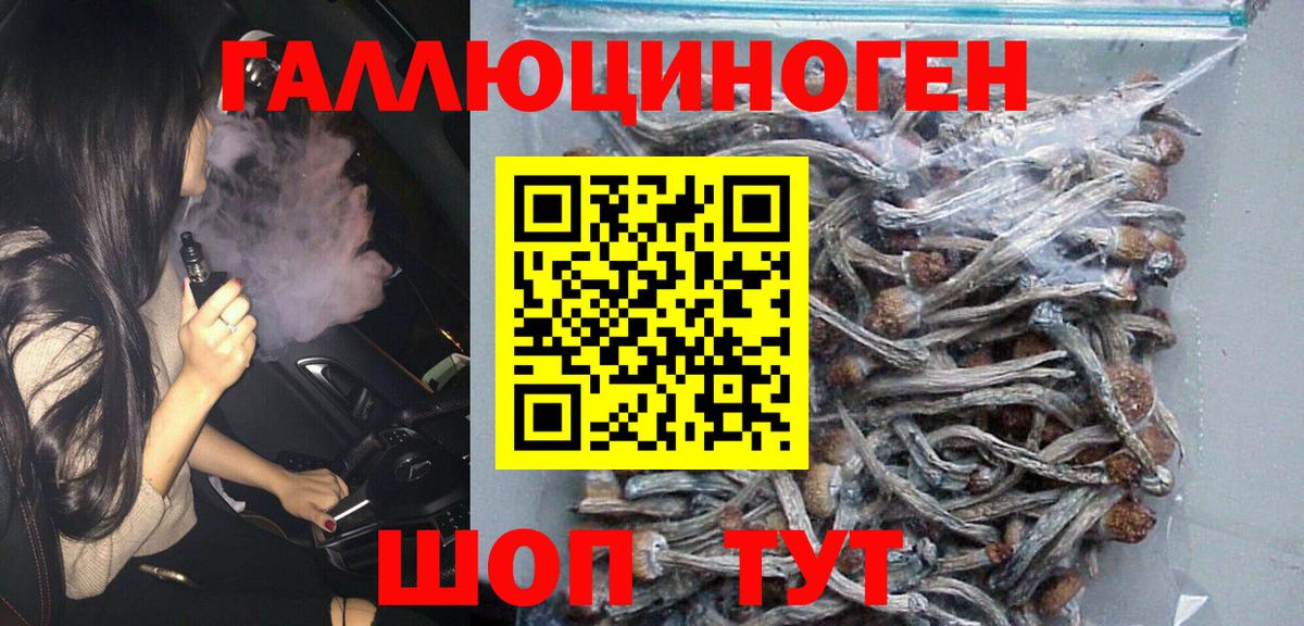 Псилоцибиновые грибы MAGIC MUSHROOMS Новоалександровск