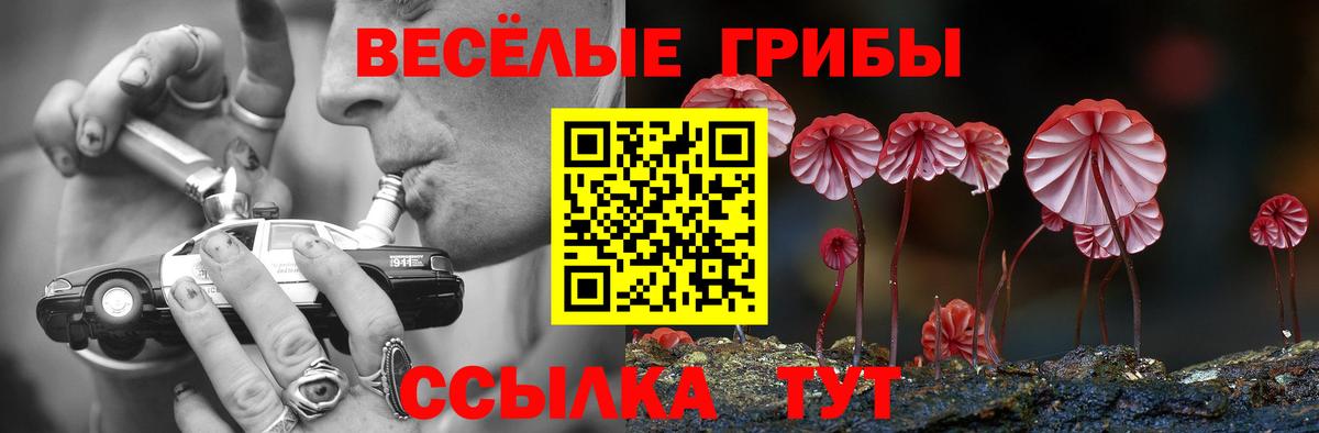 Псилоцибиновые грибы Magic Shrooms  Вход с VPN  Галлюциногенные грибы мицелий  Новоалександровск 