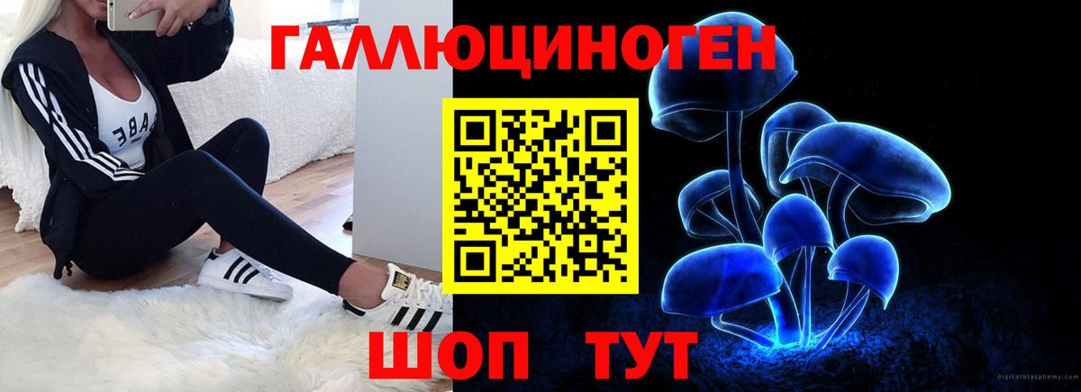 Псилоцибиновые грибы Magic Shrooms  Новоалександровск  Псилоцибиновые грибы Cubensis 